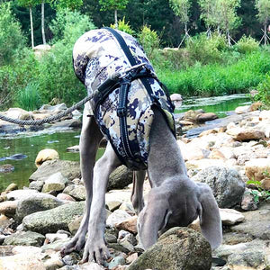 Camouflage dog coat with built in harness - Camo