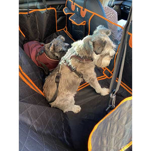 car seat dog protection