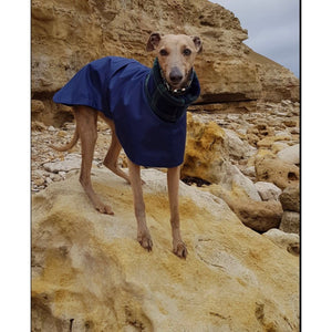 Our best selling waterproof whippet coat with harness hole option. 