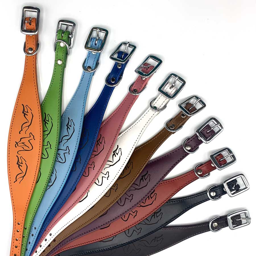 Running Hound Etched Padded Sighthound Collars Greyhounds / Whippets