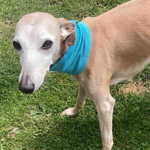 Load image into Gallery viewer, Sighthound cooling bandana
