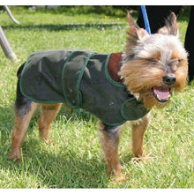 Load image into Gallery viewer, yorkshire terrier dog coat - hunter wax green wax jacket - barbour wax dog coat
