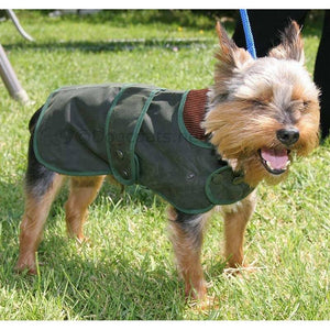 yorkshire terrier dog coat - hunter wax green wax jacket - barbour wax dog coat