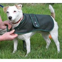 Load image into Gallery viewer, jack russell dog coats - wax hunter green by cosipet uk - barbour
