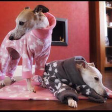 Load image into Gallery viewer, pet blanket. fleece sighthound onesies sold separately. 

