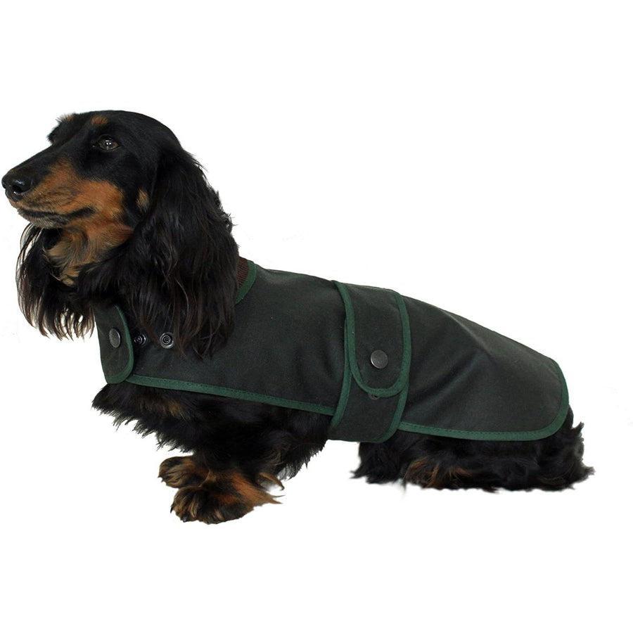 Dachshund dog coat waxed green hunter jacket