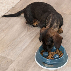 how to stop your dog eating too fast