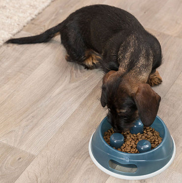 Cilkus Slow Feeder Dog Bowl - Stainless Steel, 3 Cup Capacity, Double-Sided Design To Slow Down Eating (for All Dog Sizes)