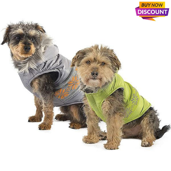 Discount dog sale clothes