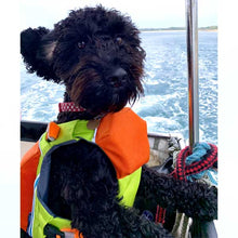 Load image into Gallery viewer, Dog Life Jacket - Superior Flotation
