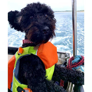 Dog Life Jacket Superior Flotation Perfect for the Beach