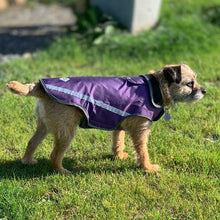 Load image into Gallery viewer, border terrier dog coat purple
