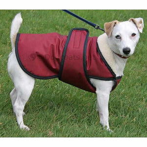 dog coats with check protector uk wine fleece lined