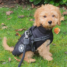 Load image into Gallery viewer, Cavapoo puppy dog coat. Waterproof with built in harness
