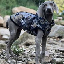 Load image into Gallery viewer, camo dog coat with built in harness
