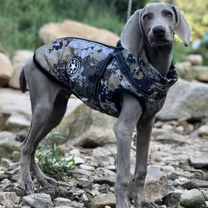 camo dog coat with built in harness