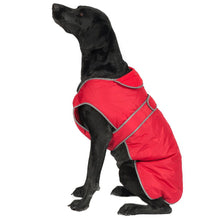 Load image into Gallery viewer, dog coat with harness hole
