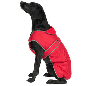 dog coat with harness hole