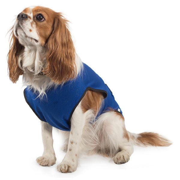 Dog cooling vest for summer