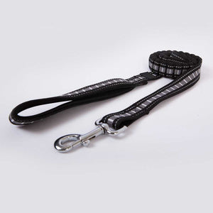 bungee dog lead. elastic centre reduces jarring motions through your arm and the dogs neck
