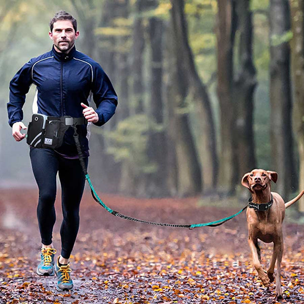 Running with 2025 a dog leash