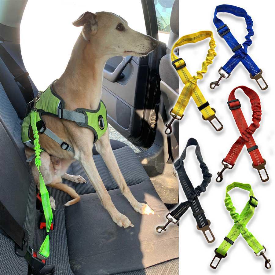 Dog seat belt attachment clip leash. With elastic section for comfort