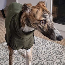Load image into Gallery viewer, Domino the brindle whippet wearing the sighthound thin base-layer jumper in green

