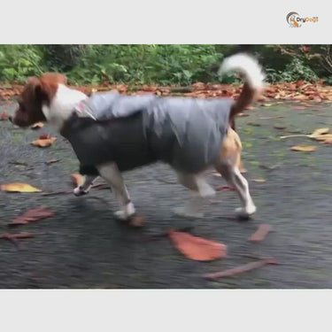 GRAY DOG COAT With Reflective shops Piping