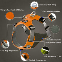 Load image into Gallery viewer, product details - i-design, 2-strap- dog harnesses
