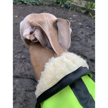 Load image into Gallery viewer, whippet raincoat with hood - high visibility and reflective
