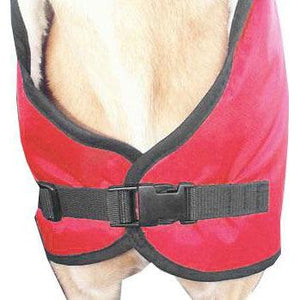 Snug fitting greyhound coat with adjustable front for ease of movement