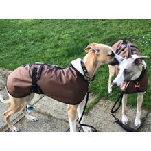 Load image into Gallery viewer, George and Mollie wearing their new sandstone waxed whippet coats
