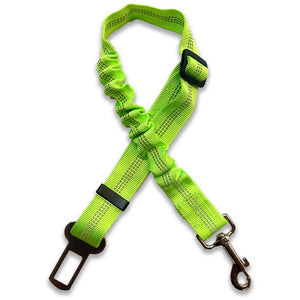 Green safety leash for your car. An essential piece of safety equipment for all dog owners 