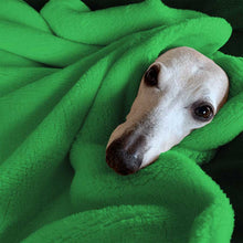 Load image into Gallery viewer, joey the whippet wrapped up in our super soft, extra fluffy, double-fleece pet blanket
