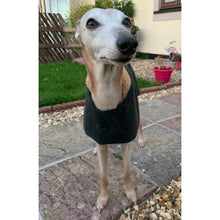 Load image into Gallery viewer, green waxed greyhound or whippet coat by cosipet dog coats
