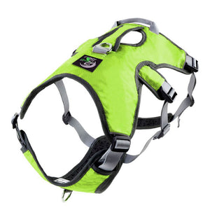 3 strap whippet harness uk in green