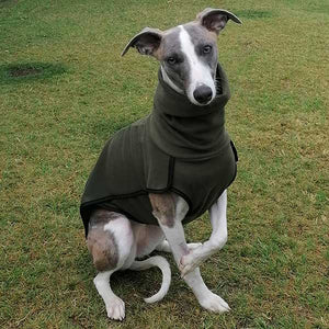 whippet jumpet base layer in green