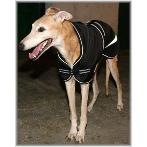 reflective dog coat at night. picture shows the high level of reflect-ability. 