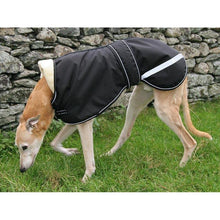 Load image into Gallery viewer, fitted greyhound and lurcher jackets. durable and long lasting dog coat for all weathers
