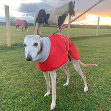 Load image into Gallery viewer, Lurcher coat with harness hole opening
