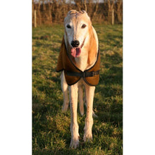 Load image into Gallery viewer, Front view of greyhound wearing a dog coat. clip release adjustable neck fastener
