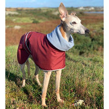 Load image into Gallery viewer, greyhound winter coat
