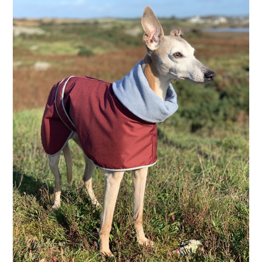 greyhound winter coat