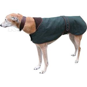 barbour Italian greyhound jacket