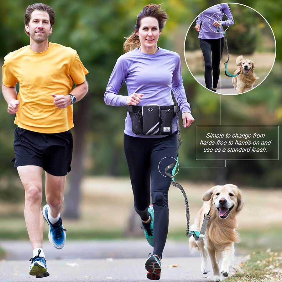hands free dog running leash with utility belt and collar