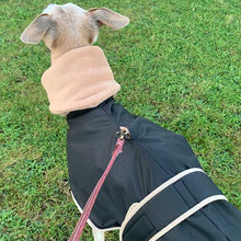 Load image into Gallery viewer, Italian Greyhound coat with harness hole and snood
