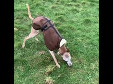 Load and play video in Gallery viewer, Wax Whippet Coats - Sandstone

