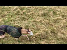 Load and play video in Gallery viewer, video of camouflage whippet coat. the trendy whippet
