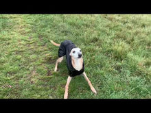 Load and play video in Gallery viewer, Lightweight/Summer Whippet Coats
