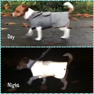 waterproof safety dog coat with harness hole